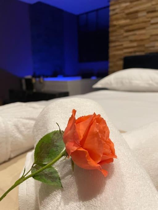 Le Cocon Des Granges - Suite Sauna Jaccuzi Spa Bonnieres-sur-Seine Εξωτερικό φωτογραφία